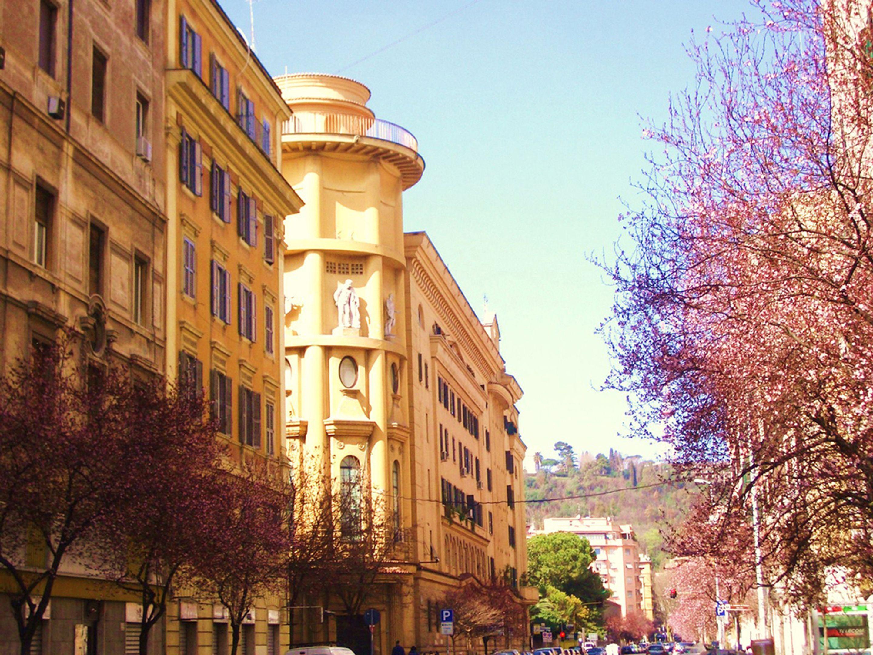 Campanella3 — Photos 2